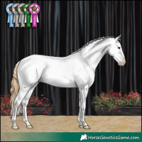 Horse Color:Buckskin Roan Dun Tobiano Appaloosa