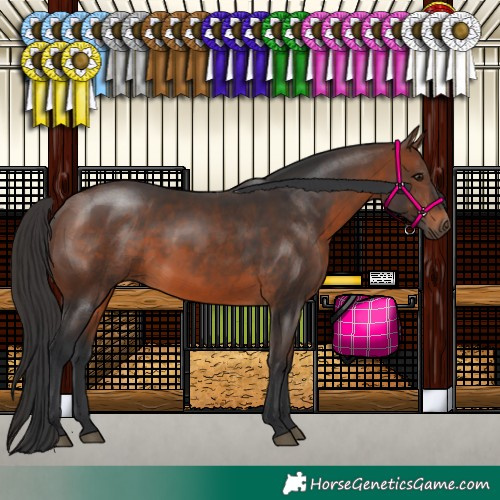 Horse Color:Brown 