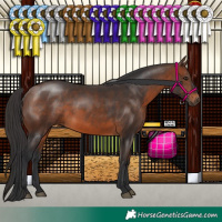 Horse Color:Brown 