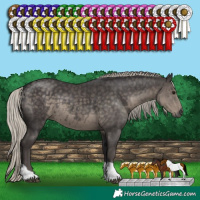 Horse Color:Silver Smoky Black Tobiano 