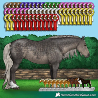 Horse Color:Silver Smoky Black Tobiano 