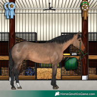 Horse Color:Brown Dun
