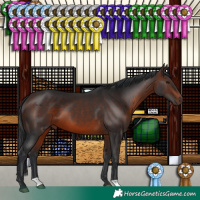 Horse Color:Brown 