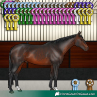 Horse Color:Brown 