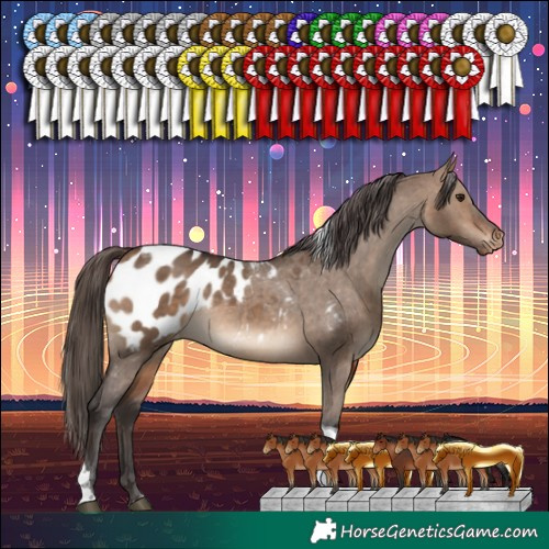 Horse Color:Bay Dun Tobiano Appaloosa Rabicano 
