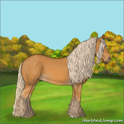 Horse Color:Palomino
