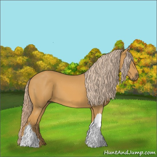 Horse Color:Palomino 