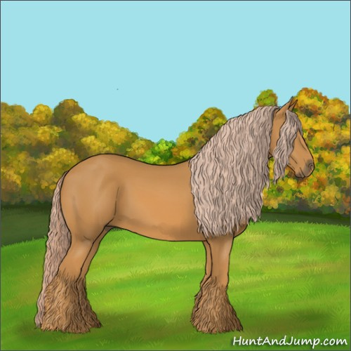 Horse Color:Palomino 