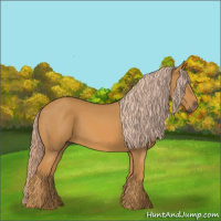 Horse Color:Palomino 