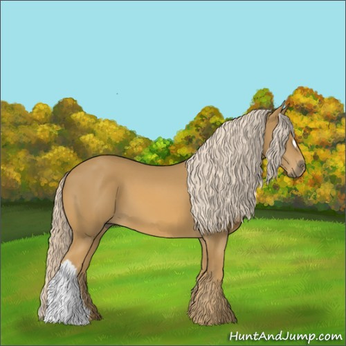 Horse Color:Palomino 