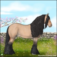 Horse Color:Bay Roan Dun 