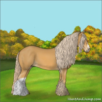 Horse Color:Palomino 