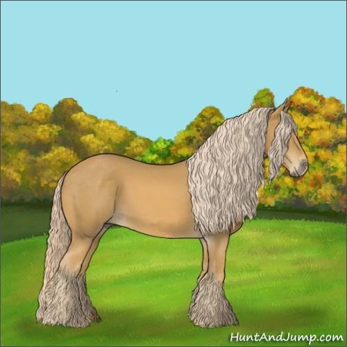 Horse Color:Palomino 