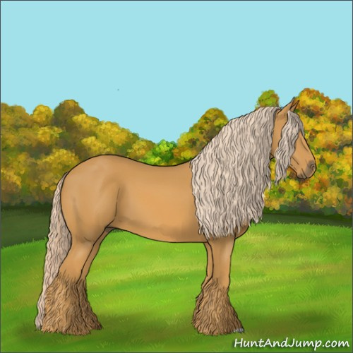 Horse Color:Palomino