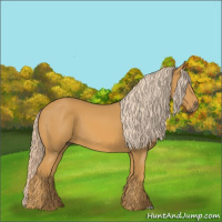 Horse Color:Palomino 