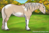 Horse Color:Silver Bay Dun Sabino Tobiano Frame Rabicano