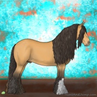 Horse Color:Buckskin 