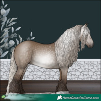 Horse Color:Gray Silver Grullo 