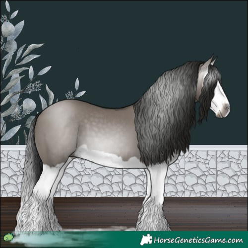 Horse Color:Gray Grullo Splash 