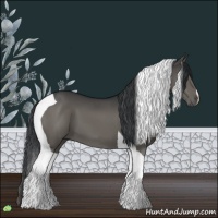 Horse Color:Grullo Tobiano