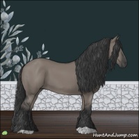 Horse Color:Grullo 