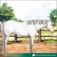 Horse Color:Amber Champagne Near Fewspot 