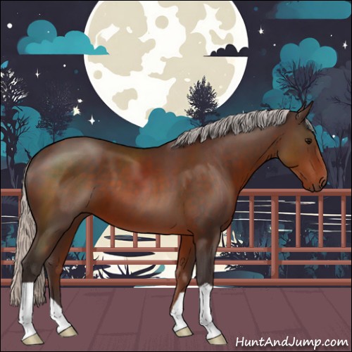 Horse Color:Silver Brown 