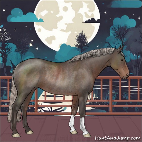 Horse Color:Silver Black Rabicano