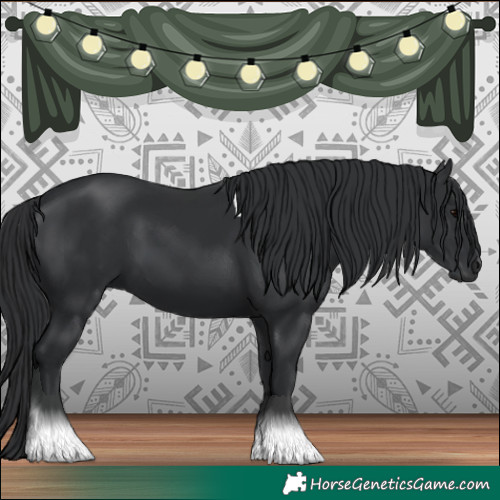 Horse Color:Black Tobiano 
