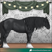 Horse Color:Black Tobiano 