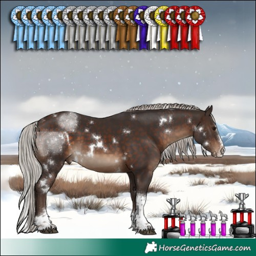 Horse Color:White Spotted Silver Brown Splash Tobiano Rabicano 