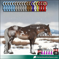 Horse Color:White Spotted Silver Brown Splash Tobiano Rabicano