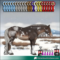 Horse Color:White Spotted Silver Brown Splash Tobiano Rabicano