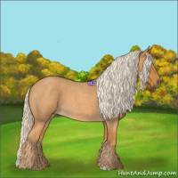 Horse Color:Palomino Roan 