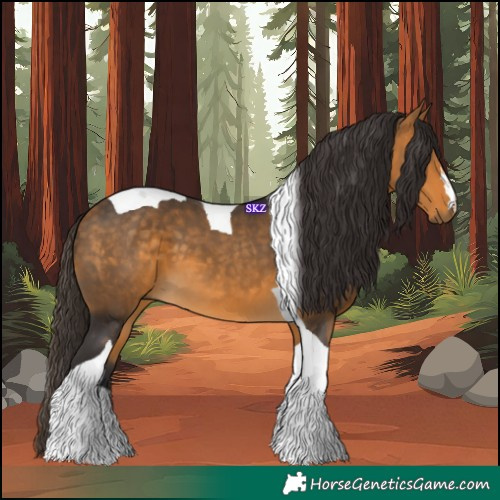 Horse Color:Buckskin Tobiano