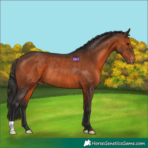 Horse Color:Brown Varnish Rabicano