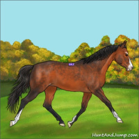 Horse Color:Brown Sabino Varnish 