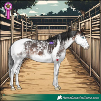 Horse Color:Brown Splash Tobiano and Brown Splash Tobiano