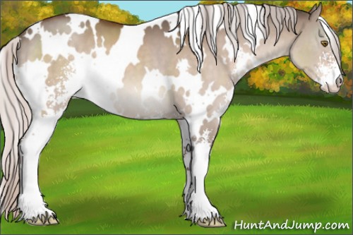 Horse Color:White Spotted Silver Brown Dun Sabino 