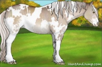 Horse Color:White Spotted Silver Brown Dun Sabino
