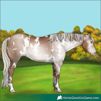 Horse Color:Gray White Spotted Silver Black Pearl 