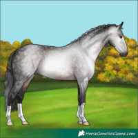 Horse Color:Gray Brown 