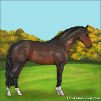 Horse Color:Brown 