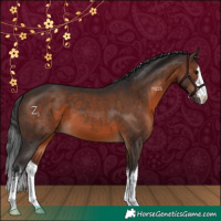 Horse Color:White Spotted Brown