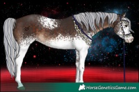 Horse Color:Painted White Spotted Silver Brown 