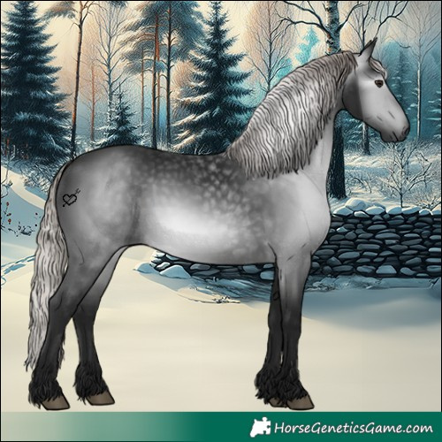 Horse Color:Gray Silver Brown