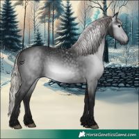 Horse Color:Gray Silver Brown