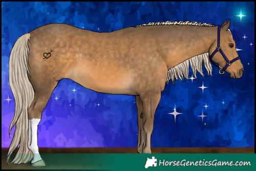 Horse Color:Chocolate Palomino 