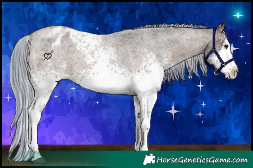 Horse Color:Painted White Spotted Silver Brown Roan Splash Blanket 