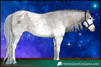 Horse Color:Painted White Spotted Silver Brown Roan Splash Blanket 